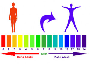 Alkali Mineral ve Orp Filtreler