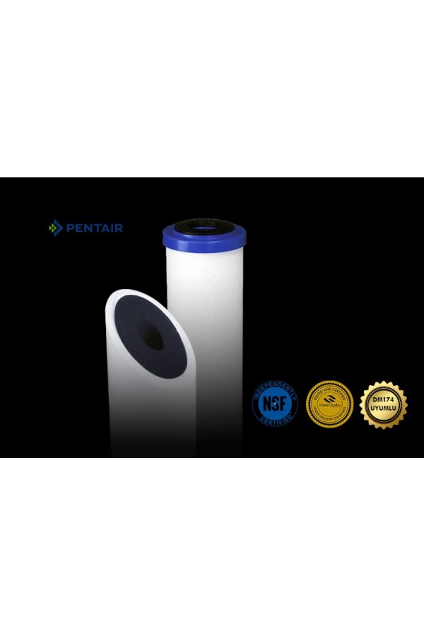PENTAIR PENTEK RO 2600 PENTAIR PENTEK RO 2600