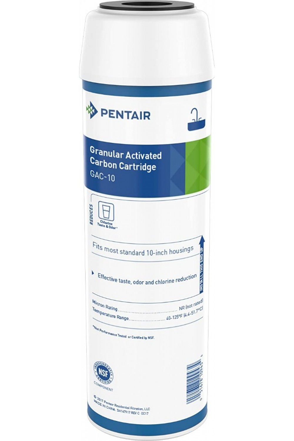 Pentair GAC-10 Granül Aktif Karbon Filtre - GAC-10