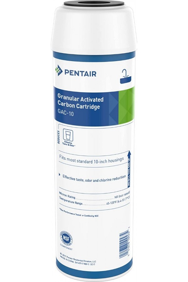 Pentair GAC-10 Granül Aktif Karbon Filtre Pentair GAC-10 Granül Aktif Karbon Filtre