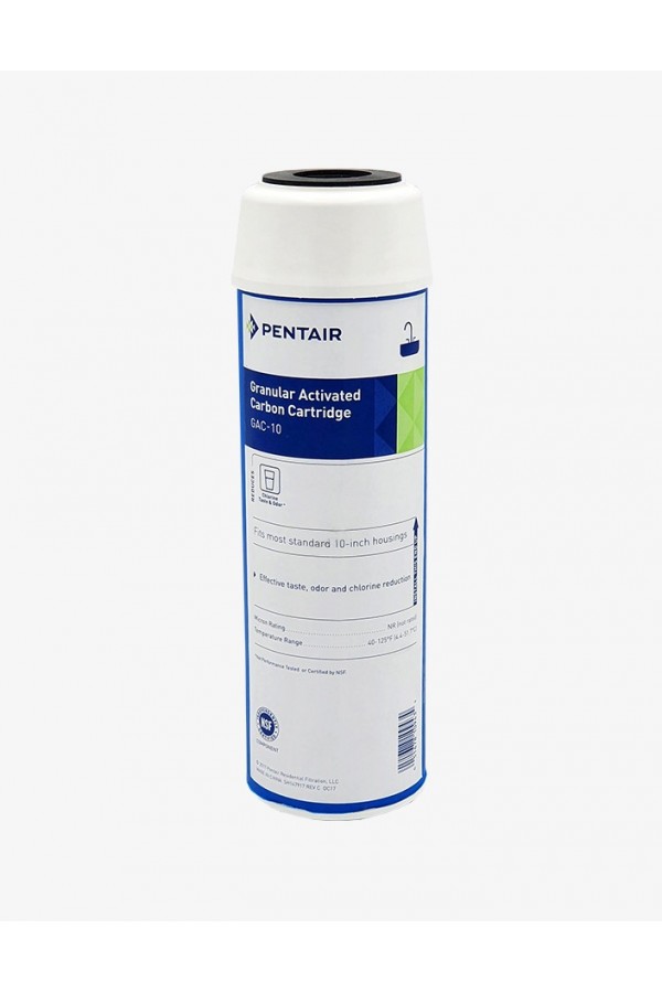 Pentair GAC-10 Granül Aktif Karbon Filtre Pentair GAC-10 Granül Aktif Karbon Filtre